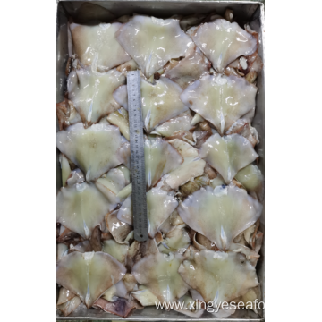 Frozen Squid Leftover Wing Nototodarus Sloanii 400-600g